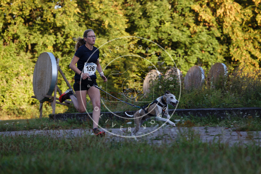 0L8A4452 | Hundefotografie, Tierfotograf, Pfotenfotografie, Fotoshooting Hund, Hunde Portrait, Hundesport, Hundeportraits, Heideshooting, Hunde, Sportfotograf, Hundefotograf, Turnierhundsport, THS,  - Realisiert mit Pictrs.com