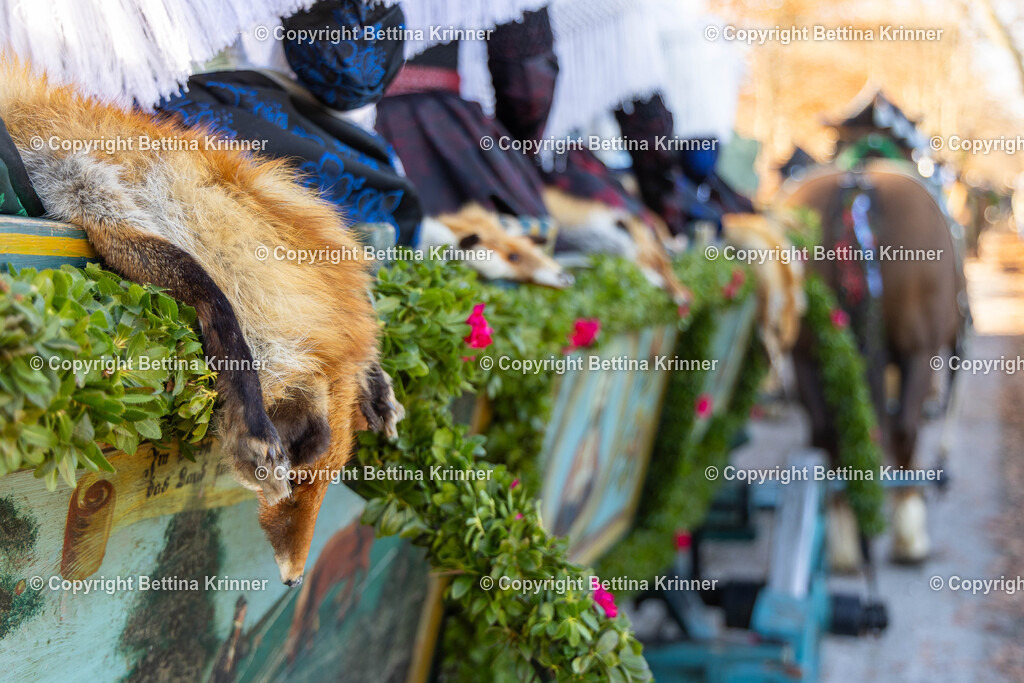 LBT25-1009 | foto-bettina-krinner - Realisiert mit Pictrs.com