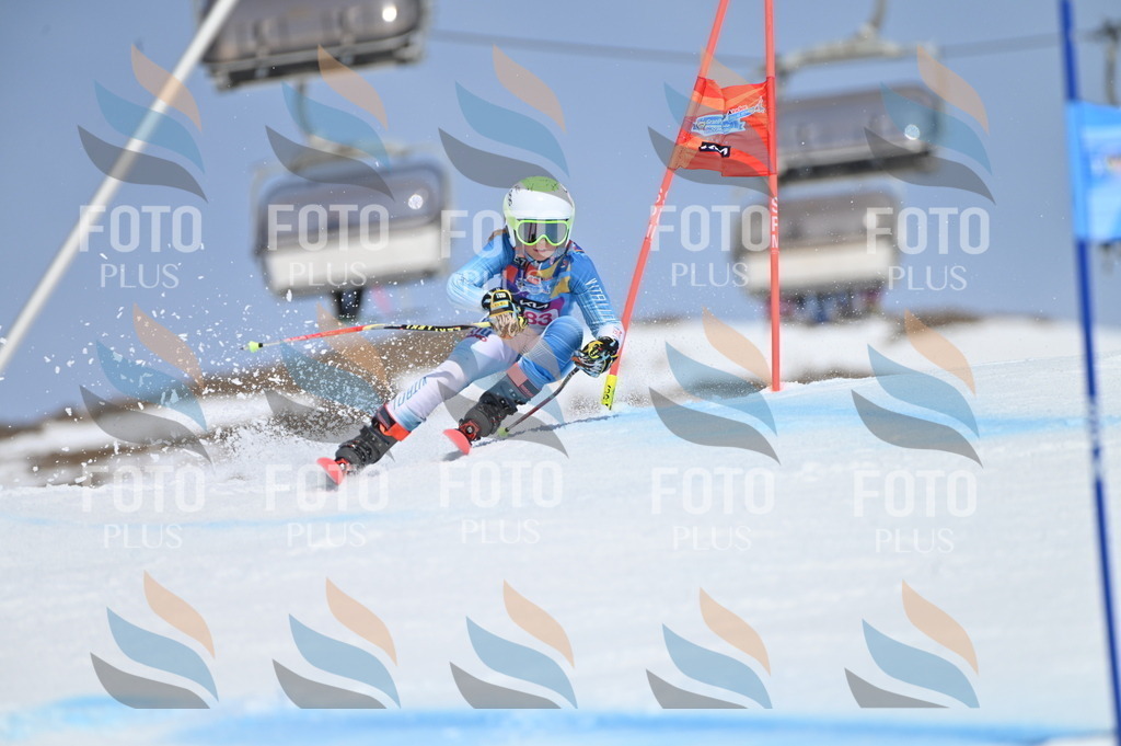 BGV_0664 | holidayphoto