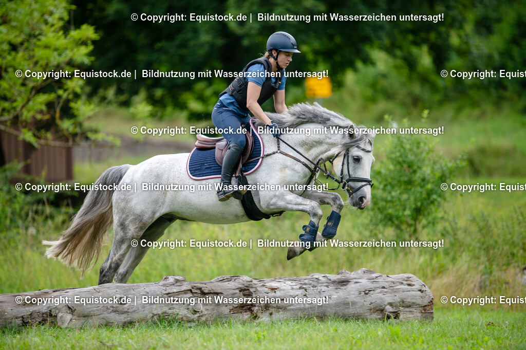 20250725_Vielseitigkeitslehrgang-Marbach_0514 | Foto: Thomas Hartig