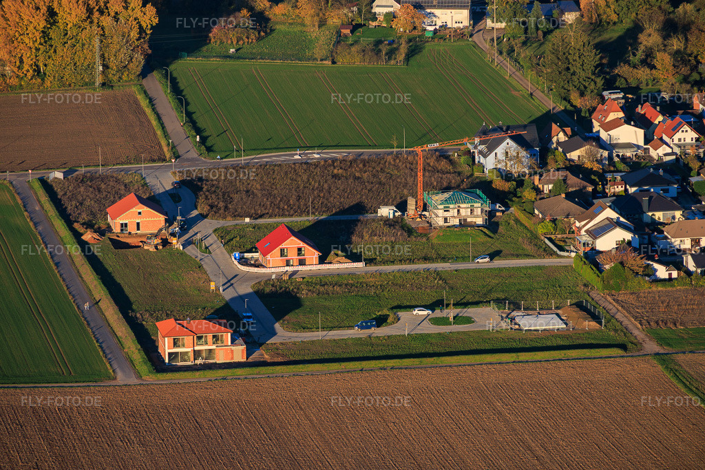 Luftbild: Neubaugebiet Im Niederfeld im Ortsteil Ingenheim in Billigheim-Ingenheim im Bundesland Rheinland-Pfalz in Deutschland. Foto: IMG_151033.jpg vom 05.11.2025 durch Werner Riehm/FLY-FOTO.de