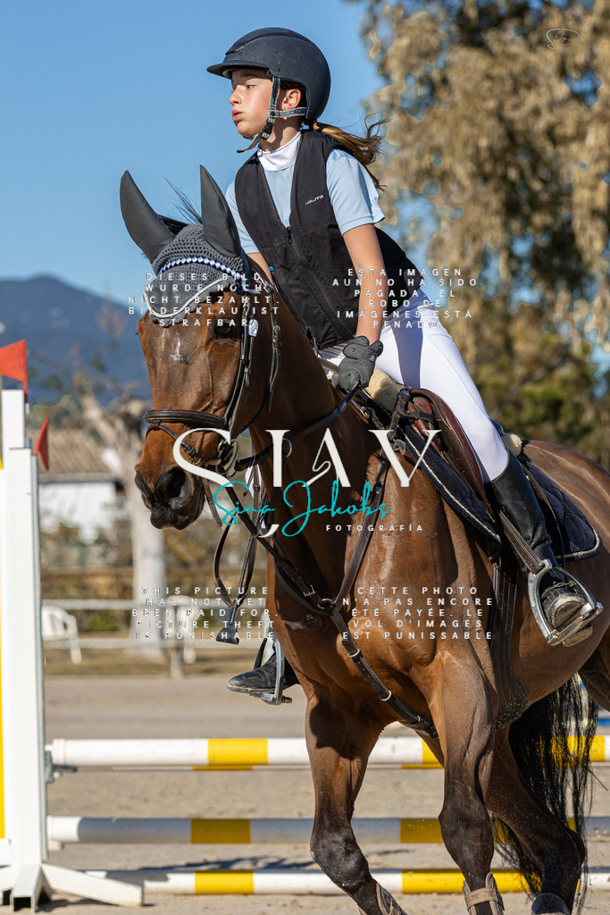 IMG_8277 | s-jay-photography - Realisiert mit Pictrs.com