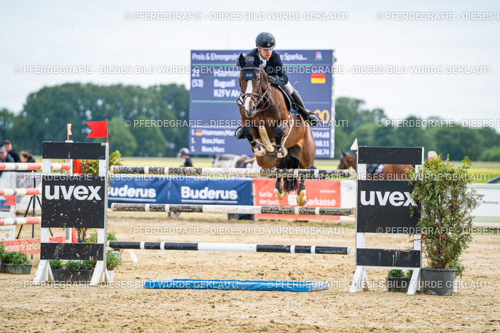 DSC07199 | Pferdegrafie