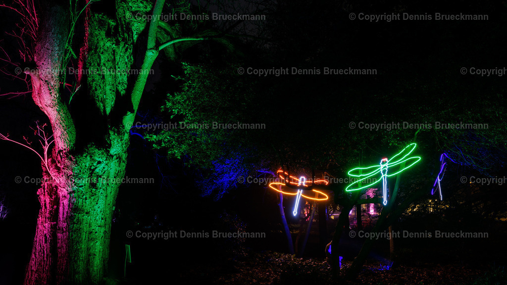 Winterlichter 2023/24 | Dennis-Brueckmann-Fotografie - Realisiert mit Pictrs.com