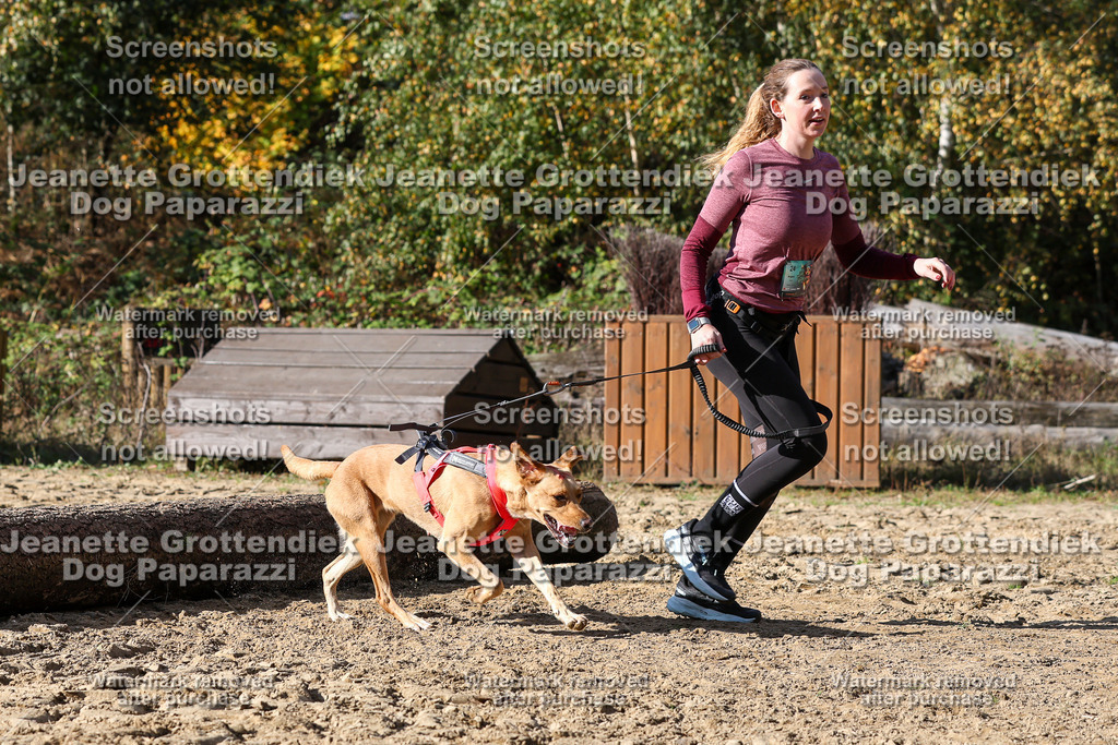 Dog Paparazzi - Strongdog 10-25-4877 | Dog Paparazzi Jeanette Grottendiek Fotografie & Videografie - Realisiert mit Pictrs.com