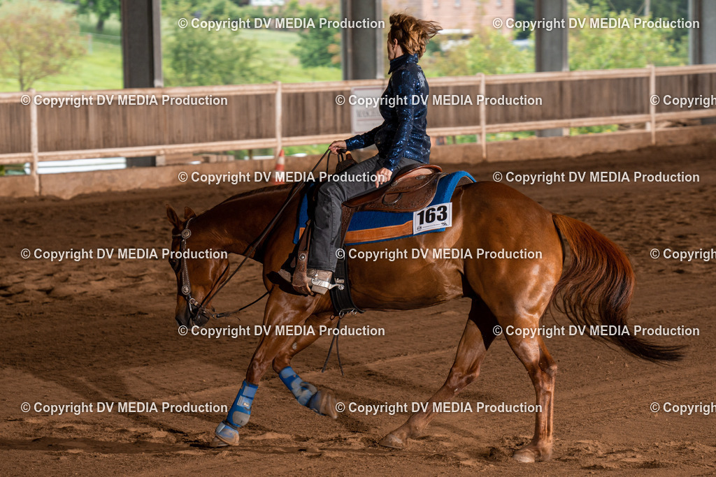 Erbach Tag 2-830 | dv-media-shop - Realisiert mit Pictrs.com