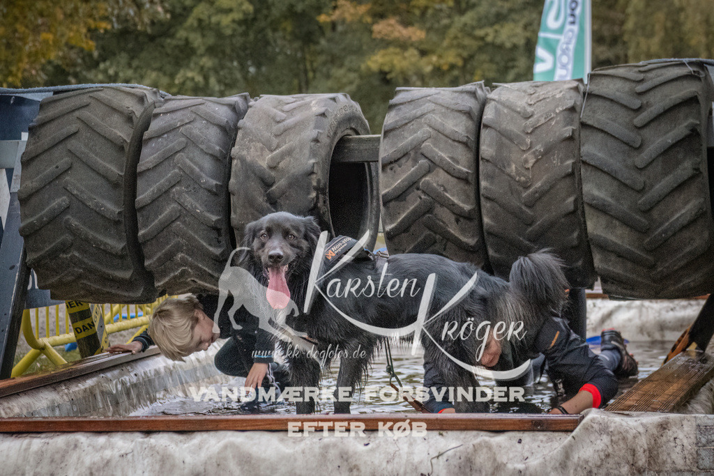 1656_ZZ94446 | kk-dogfotos