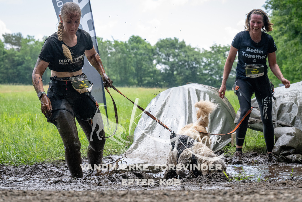 1115_ZZ92159 | kk-dogfotos