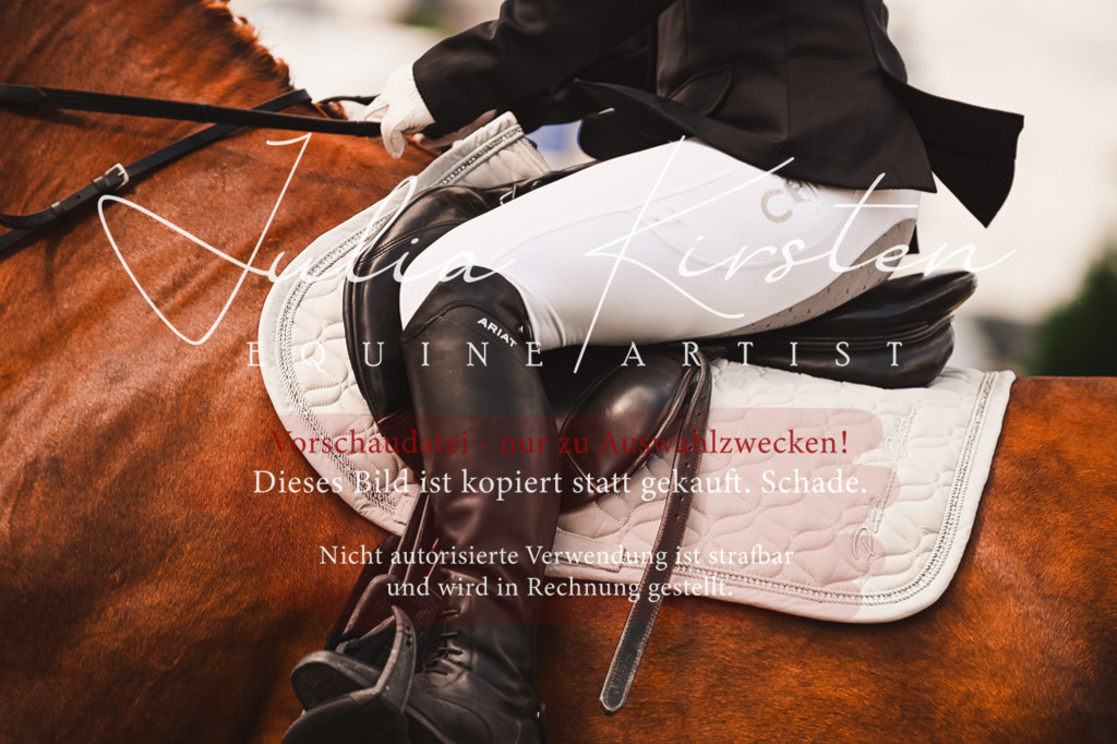 DSC_6879 | Pferde- und Turnierfotografie in Westsachsen. Pferdeportraits, Auftragszeichnungen und intuitive Kunst.
