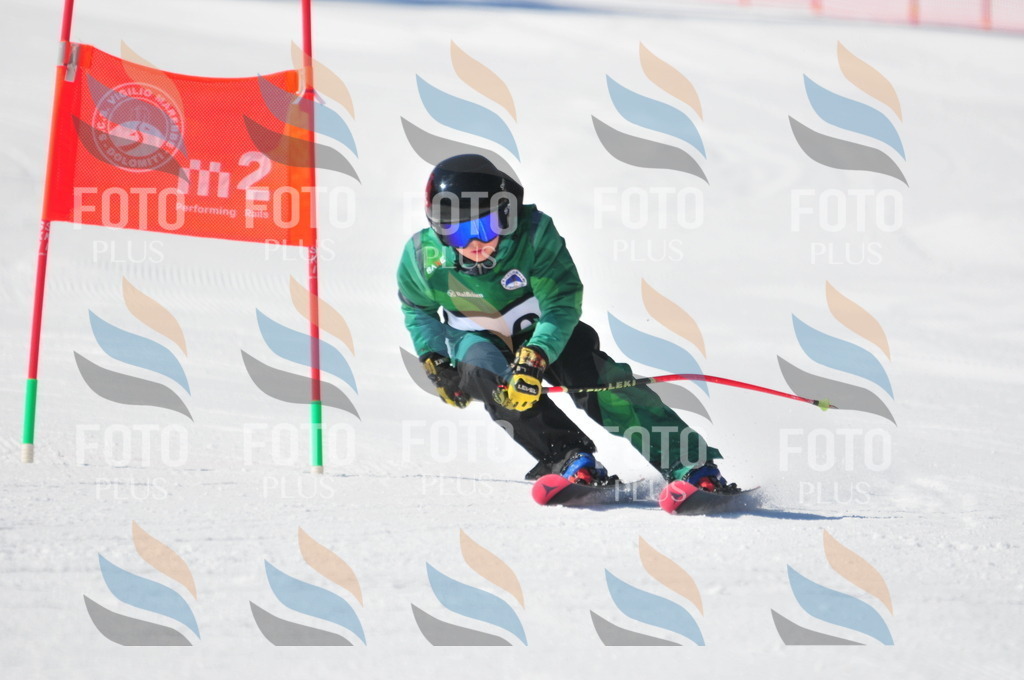 C3181 | holidayphoto