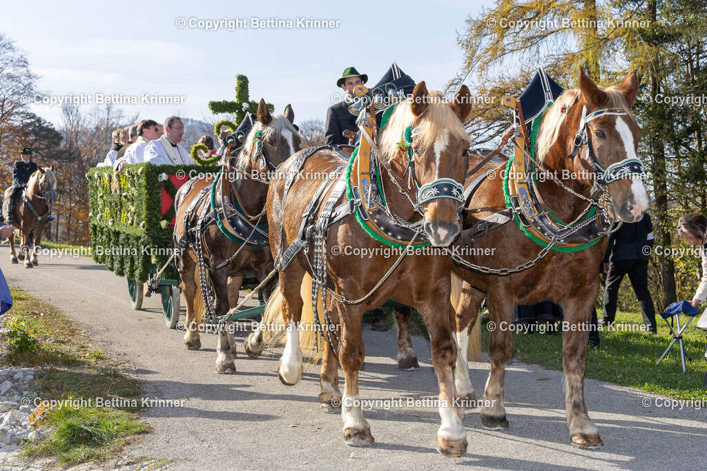 LBT24-1135 | foto-bettina-krinner - Realisiert mit Pictrs.com
