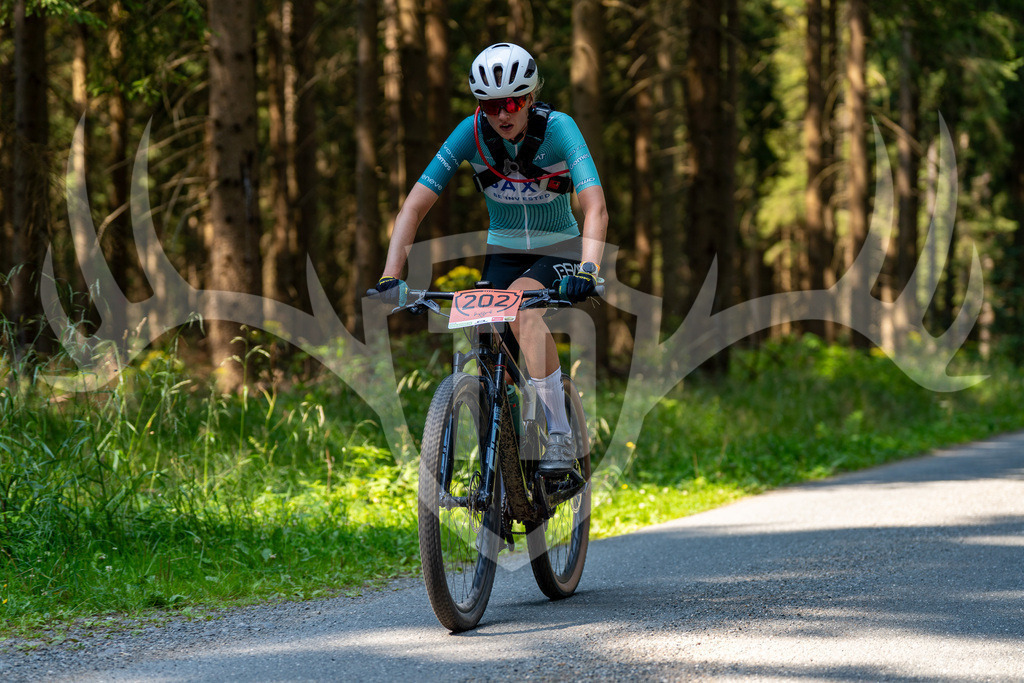 _DSC7441 | Fotogalerie der Treibjagd im Dunkelwald - Dein MTB Etappenrennen im Erzgebirge - Realisiert mit Pictrs.com