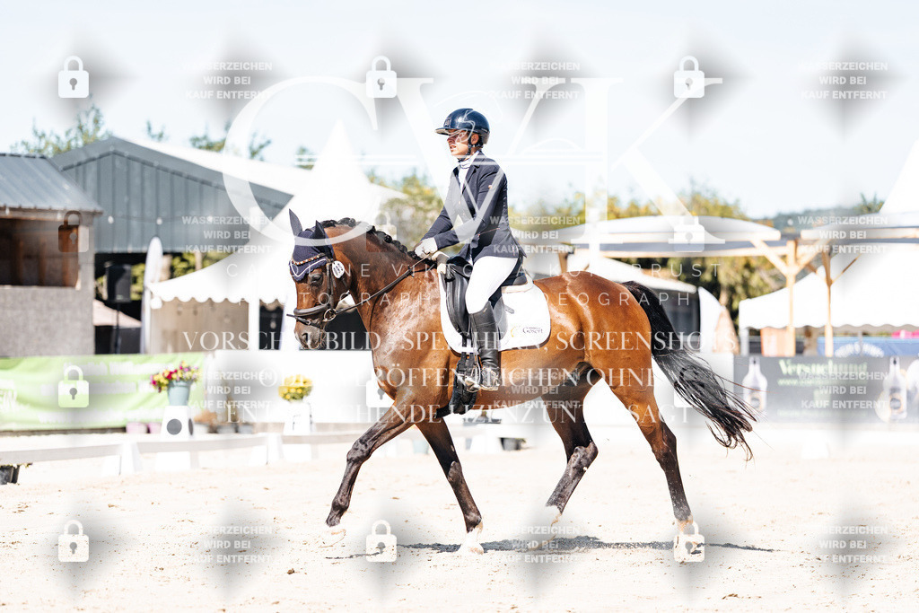 CK909271 | Turnierfotografie Pferdefotografie Trier Rheinland-Pfalz Pferdesport Reitsport Tierfotografie Sportfotografie Pferdevideo Pferdevideografie Equestrianvideography equestrianphotography  - Realisiert mit Pictrs.com