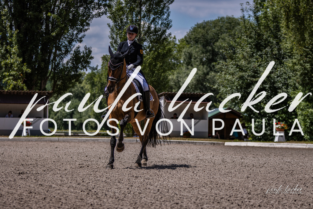 IMG_8324 | Erleben Sie dynamische Sport- und emotionale Tierfotografie in Süddeutschland mit Fotos von Paula. Spezialisiert auf Pferde- und Hundefotografie sowie Sportevents. Kontaktieren Sie mich für einzigartige und ausdrucksstarke Bilder Ihrer besonderen Momente.