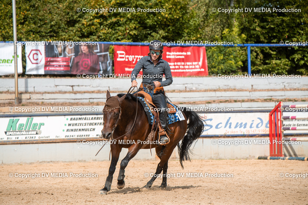 EWP_5884 | dv-media-shop - Realisiert mit Pictrs.com