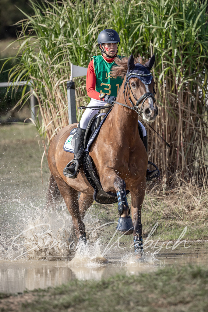 20250907-_3LI3156 | Tierfotografie Pferde, Hunde, Katzen, Haustiere.
Turnierfotografie Reitturniere, Reiten, Springreiten, Dressur in Hanau, dem Main-Kinzig-Kreis und dem Rhein-Main- Gebiet um Frankfurt