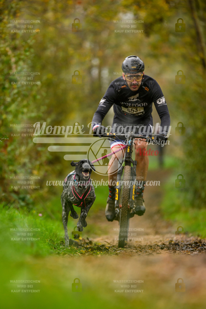MompixPhotography_20TSB_E6_Bike-56 | PayLife