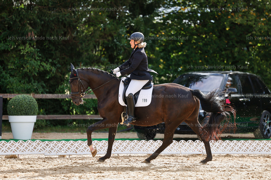 02-199-DRESSUR L_  -StoibPH-4784 | working equitationturnier fotograf videograf stoibphotography marixx film working equitation deutschland reitsport turnierfotografie eventfotografie equestrian events