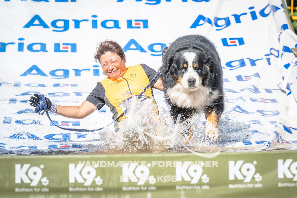 1623_ZZ99710 | kk-dogfotos