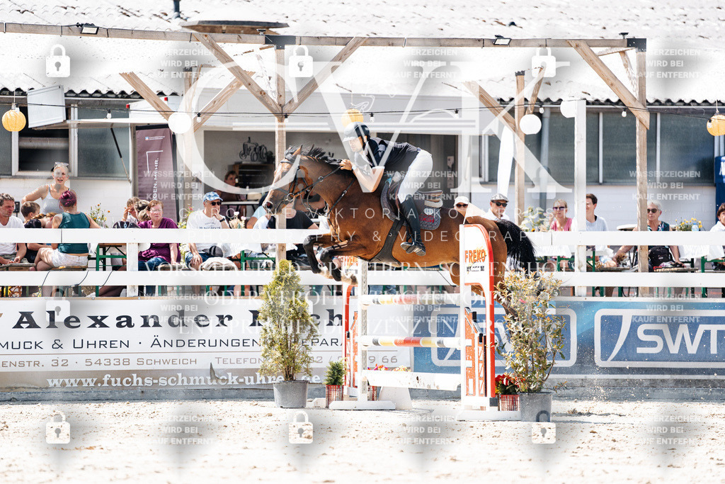 CK909987 | Turnierfotografie Pferdefotografie Trier Rheinland-Pfalz Pferdesport Reitsport Tierfotografie Sportfotografie Pferdevideo Pferdevideografie Equestrianvideography equestrianphotography  - Realisiert mit Pictrs.com