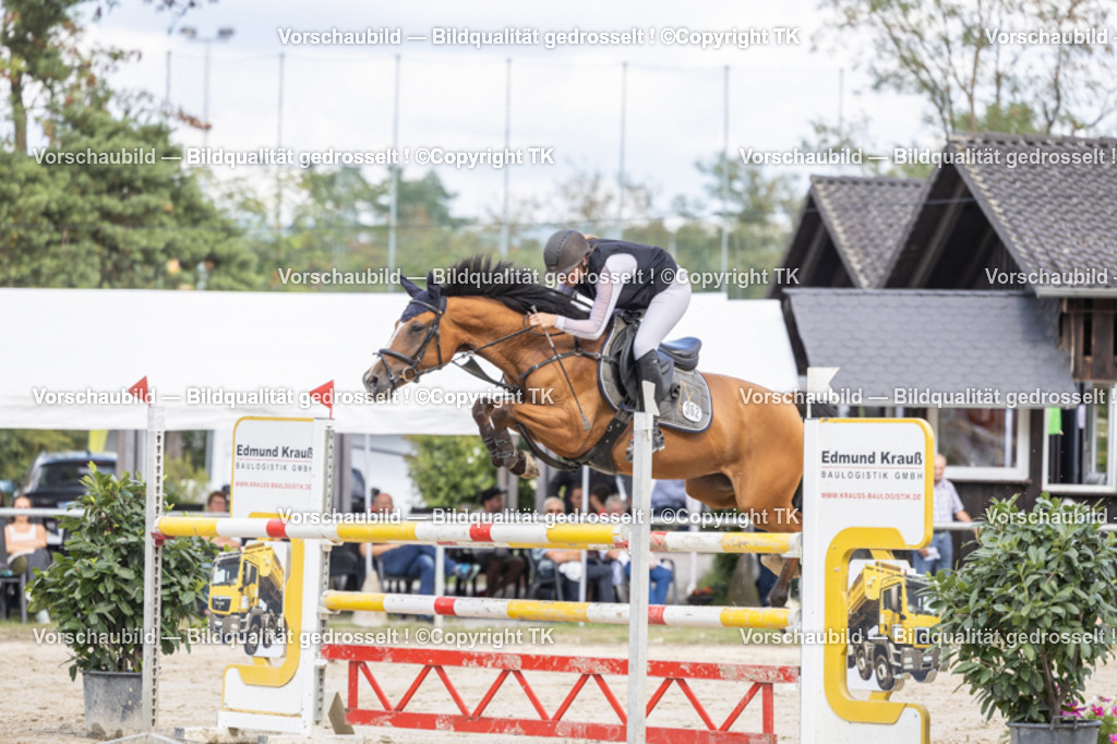 _D5A1553 | Emotionale Pferde- & People-Fotografie rund um Heidelberg, Leimen & Umgebung. Natürliche Fotos von Pferd, Mensch & Familie. Jetzt Termin sichern!