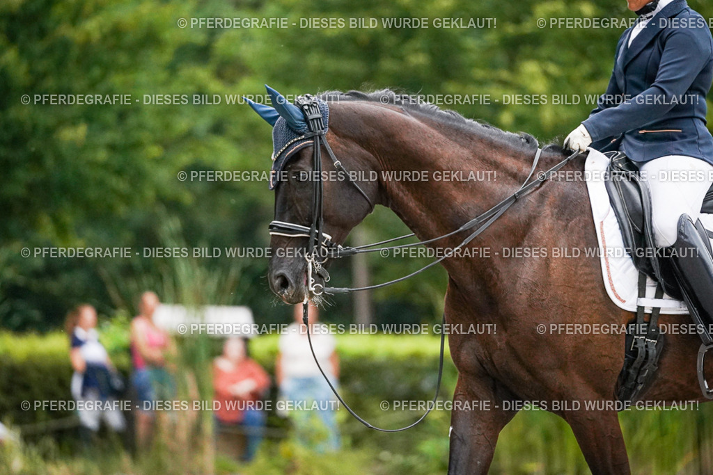 DSC09615 | Pferdegrafie