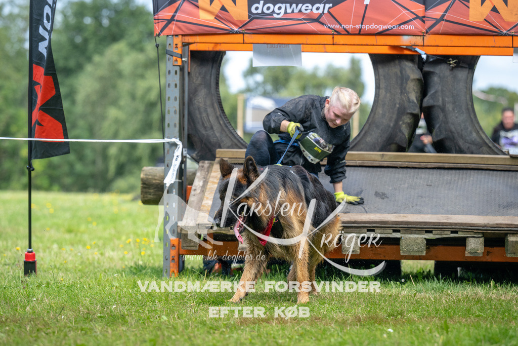 1214_ZZ93715 | kk-dogfotos