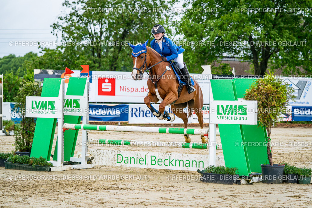 DSC02730 | Pferdegrafie