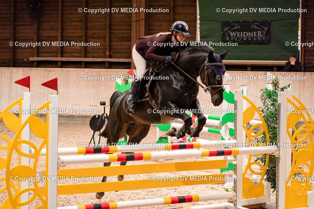 Springen Tag 1-288 | dv-media-shop - Realisiert mit Pictrs.com