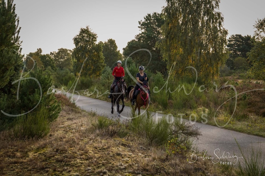 DdLH-TrotBy_2025-09-20_02 | Fotografie, Veranstaltungs-Fotografie, Pferde-Fotografie, Landschafts-Fotografie, Reise-Fotografie - Realisiert mit Pictrs.com