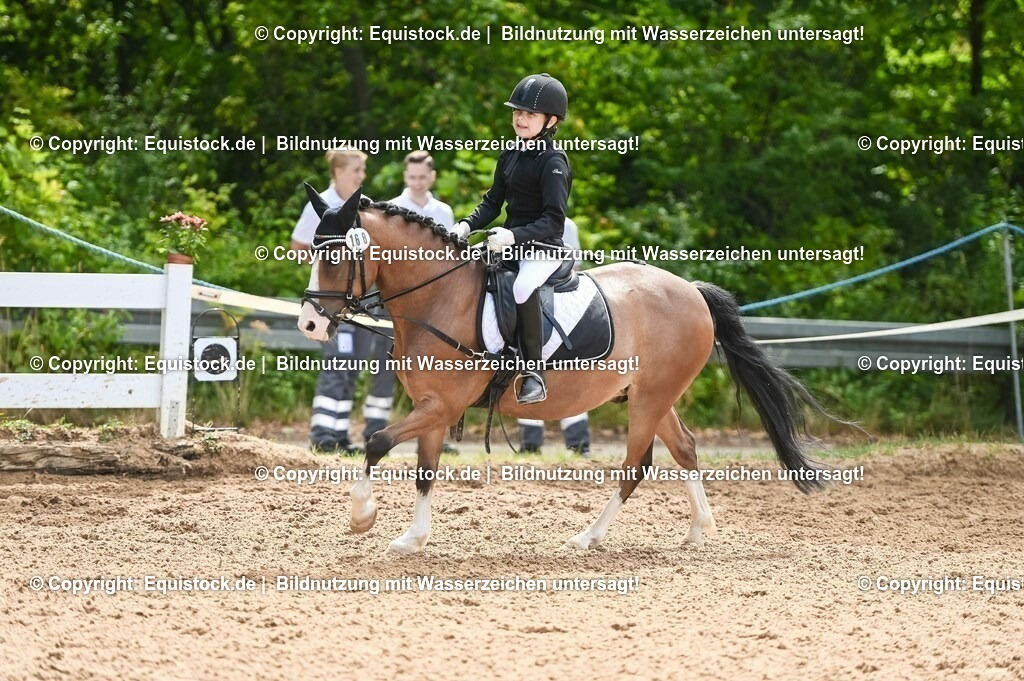 20230716_10-3_Reiter-WB Schritt - Trab - Galopp_0142 | equistock