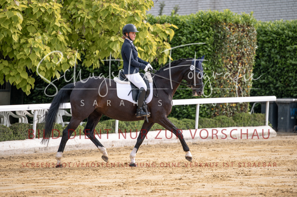 Schugtsche-Aluta25-40.DressurprfA_-162 | Schugtsche Fotografie - Realisiert mit Pictrs.com