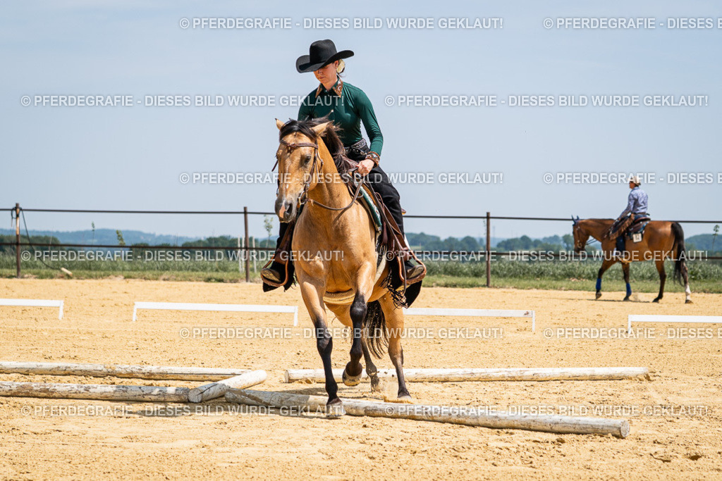 DSC01341 | Pferdegrafie