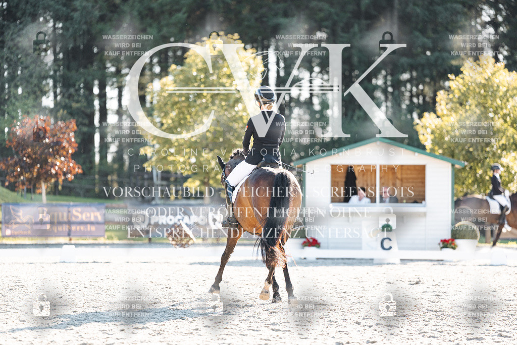 CK907077 | Turnierfotografie Pferdefotografie Trier Rheinland-Pfalz Pferdesport Reitsport Tierfotografie Sportfotografie Pferdevideo Pferdevideografie Equestrianvideography equestrianphotography  - Realisiert mit Pictrs.com