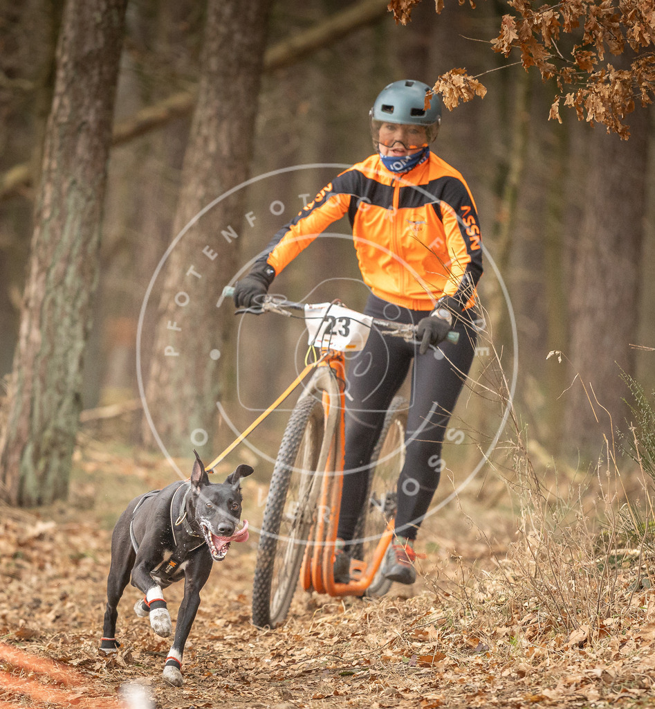 Pfotenfotografie_DV3A4112 | Hundefotografie, Tierfotograf, Pfotenfotografie, Fotoshooting Hund, Hunde Portrait, Hundesport, Hundeportraits, Heideshooting, Hunde, Sportfotograf, Hundefotograf, Turnierhundsport, THS,  - Realisiert mit Pictrs.com