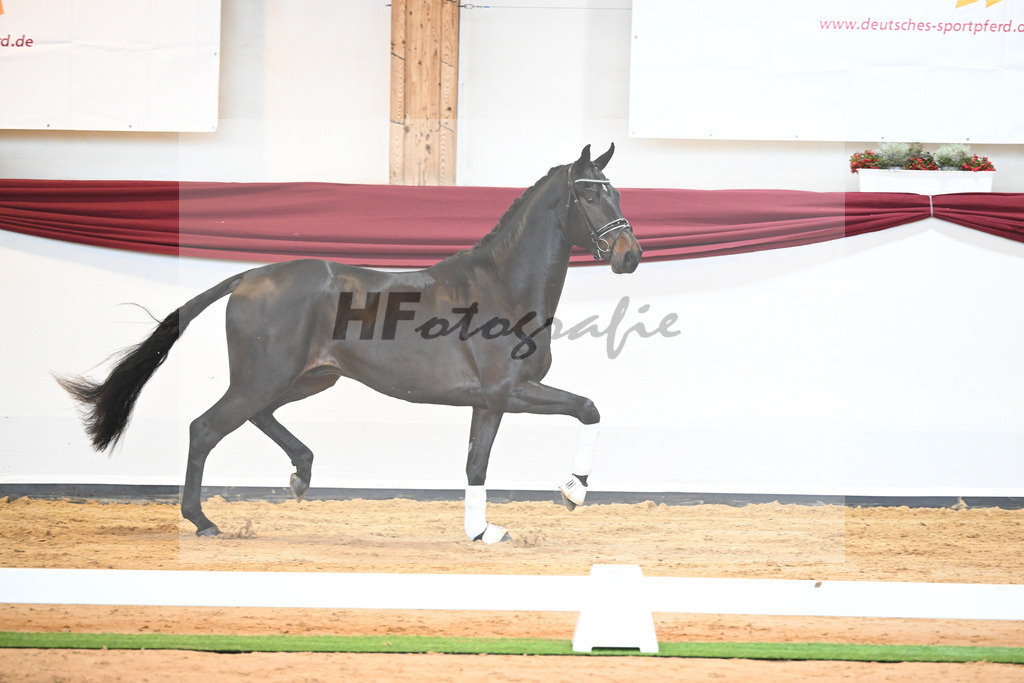 Kat-Nr. 40 v. Lord Europe_Bergmann_66221878 | hf-fotografie - Realisiert mit Pictrs.com
