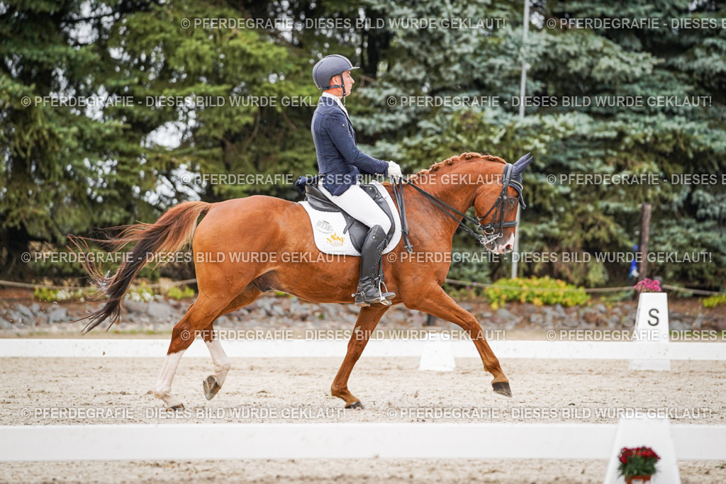 DSC08518 | Pferdegrafie