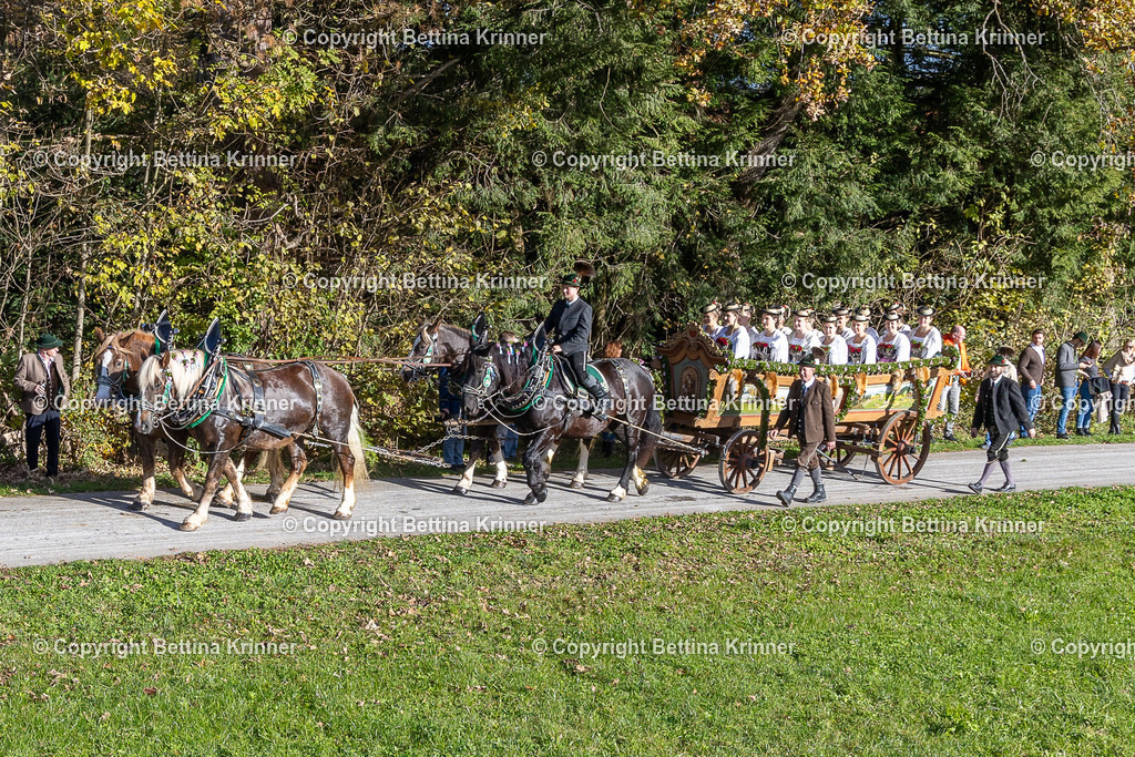 LBT24-466 | foto-bettina-krinner - Realisiert mit Pictrs.com
