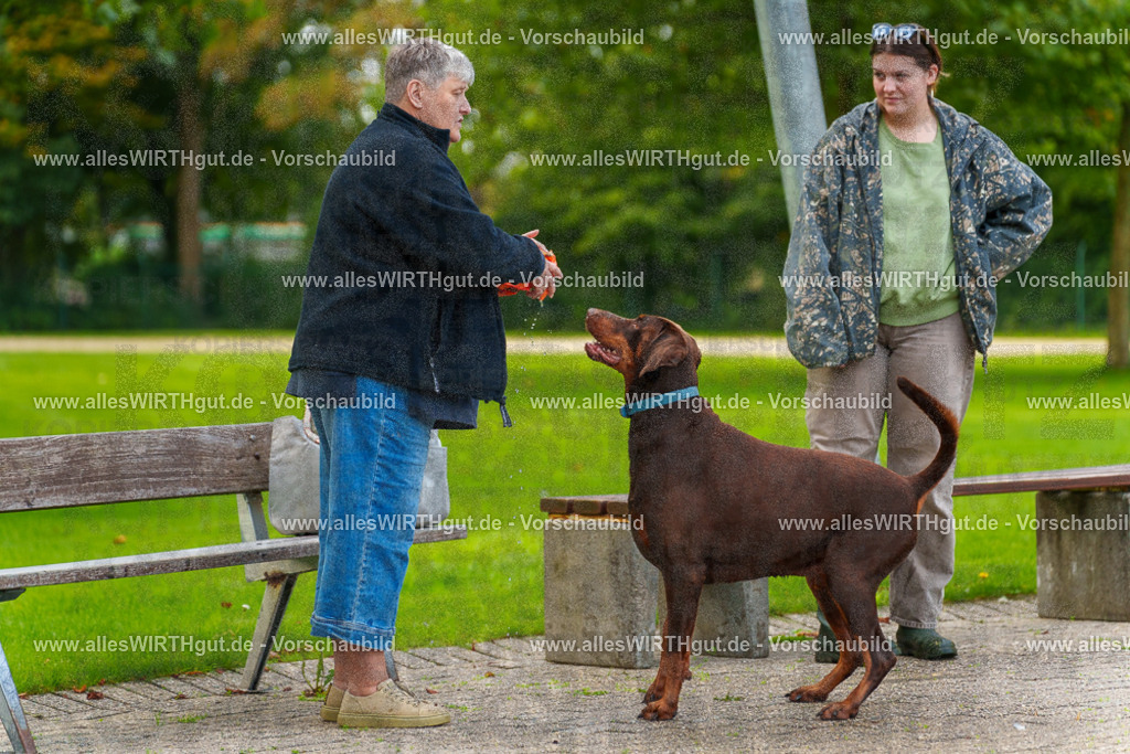 Hundeschwimmen_Grefrath_2026-allesWIRTHgut_Tierfotografie-09_42-7R502453 | Professionelle Tierfotografie in Mönchengladbach von Daniel Wirth (allesWIRTHgut). Liebevolle & natürliche Bilder von Hunden & Katzen für unvergessliche Erinnerungen.