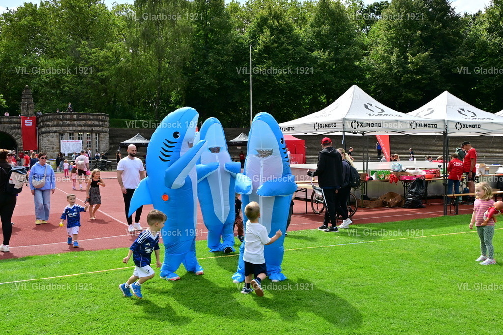 2026-08-23_Sparkassenlauf_Haie_00006 | Die Fotografen - Realisiert mit Pictrs.com