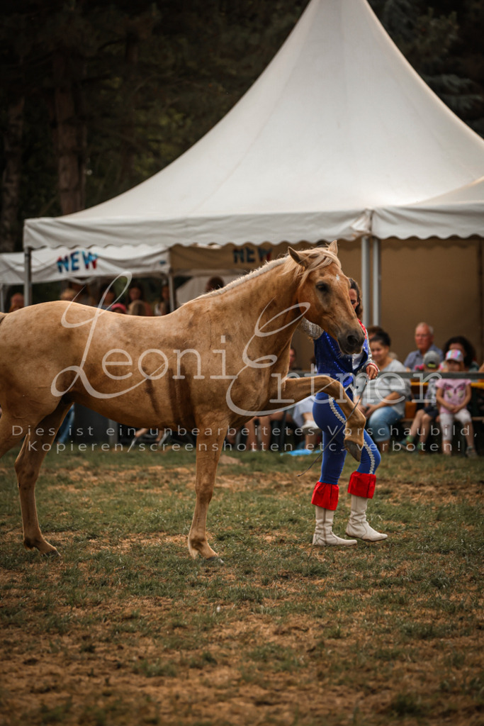 SaShow00042 | Leoni Ertmer Photography - Realisiert mit Pictrs.com