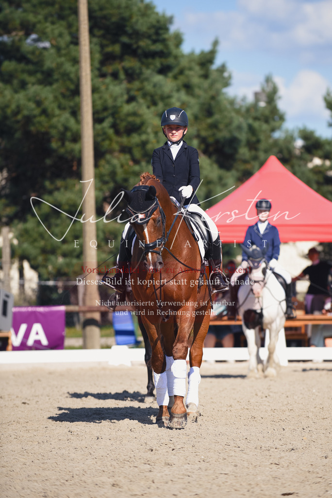 DSC_0120 | Pferde- und Turnierfotografie in Westsachsen. Pferdeportraits, Auftragszeichnungen und intuitive Kunst.