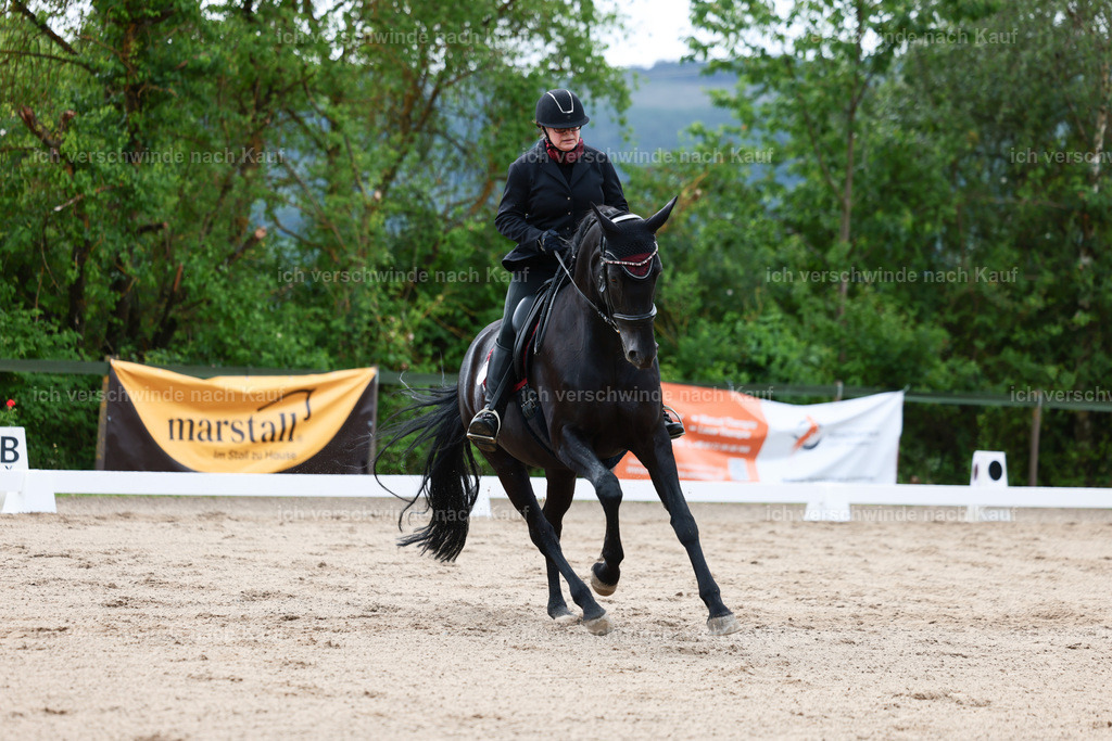 KlasseE_Stoibphotography_CAM21964.JPG | working equitationturnier fotograf videograf stoibphotography marixx film working equitation deutschland reitsport turnierfotografie eventfotografie equestrian events