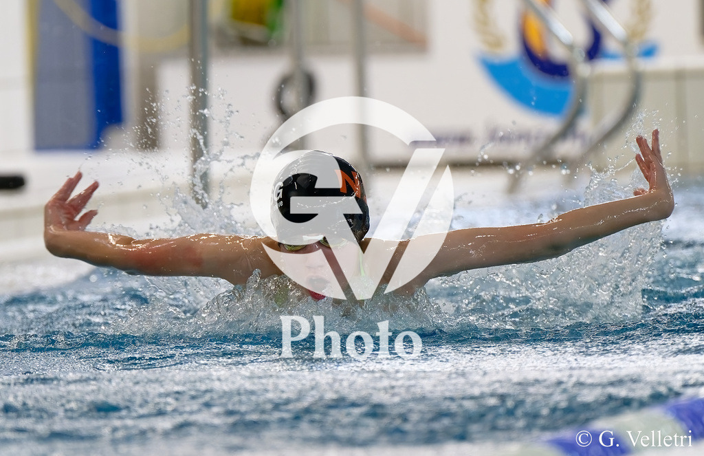 DSC_9852 | Velletri Photo