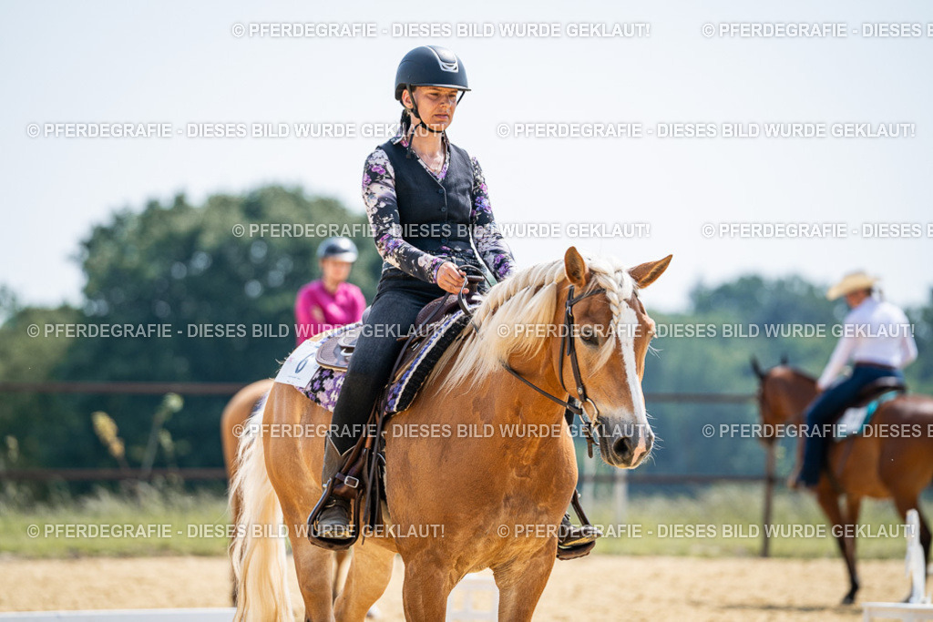 DSC00194 | Pferdegrafie