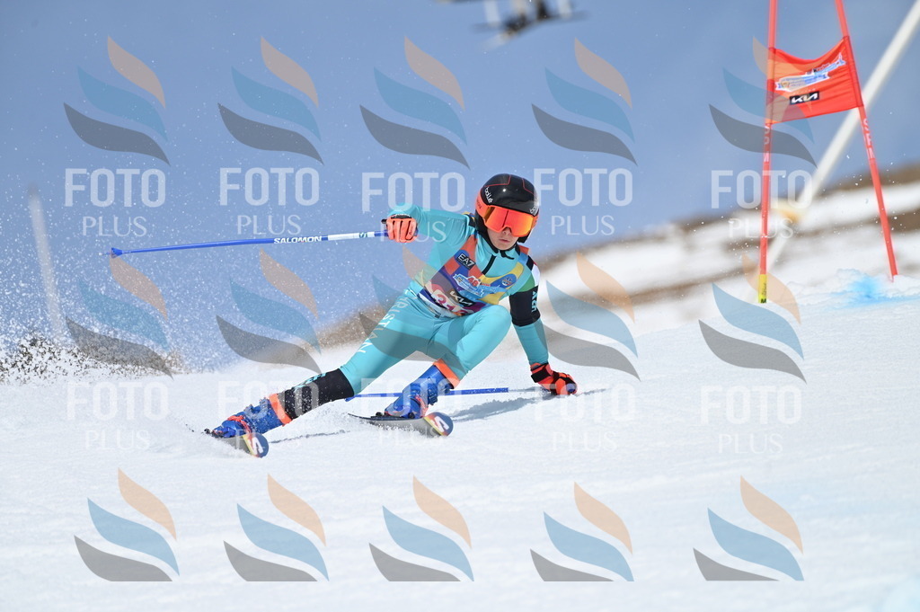 BGV_3037 | holidayphoto