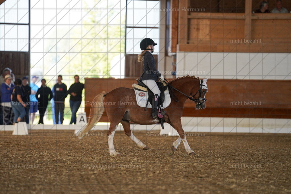 20240824-FAH07015 | Thierhaupten 2024, Bayerisches Landesponyturnier, Turnierbilder, Ponybilder, Turnierfotografen Bayern, Fotoagentur Herrmann