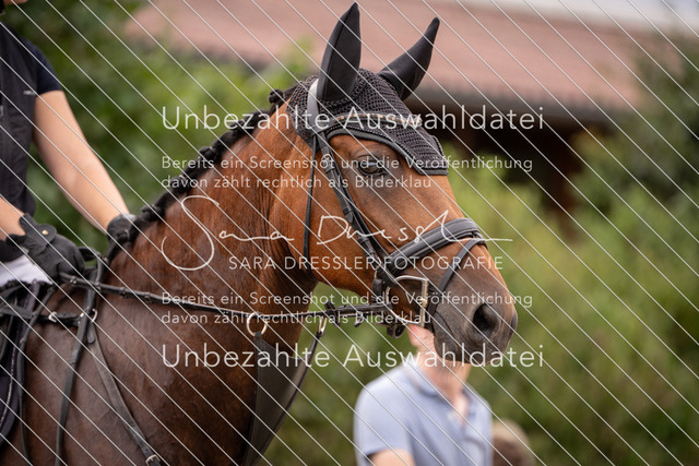 LR262_SD_01401 | saradresslerfotografie - Realisiert mit Pictrs.com