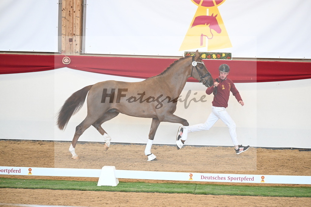 Kat.-Nr. 83 v. Va Bene_Winklmaier_2250881 | hf-fotografie - Realisiert mit Pictrs.com