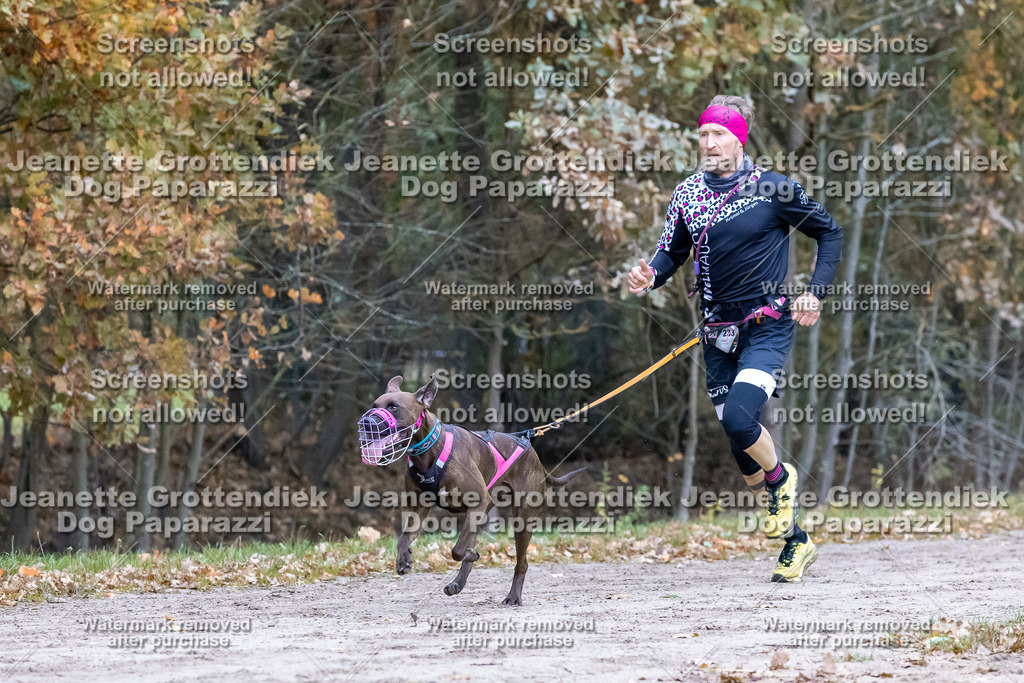 Dog Paparazzi - SD CaniX Championship 2025-142 | Dog Paparazzi Jeanette Grottendiek Fotografie & Videografie - Realisiert mit Pictrs.com